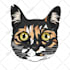 do animals cartoon illustration