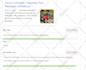 write wordpress yoast on page SEO meta tags, title, descriptions