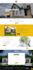 design or redesign godaddy website professionally