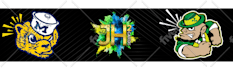 design a professional ebay or etsy banner