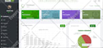develop professional web applications for you