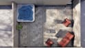 design landscape, garden, backyard, patio, 3d renderings