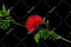 do professional background removal for your photo