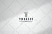 create a minimalist logo with complete brand style guide