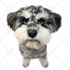 make vector illustration dog cat animal pet cartoon portrait
