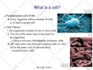 be your tutor in microbiology