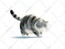 create an awesome illustration for your project