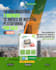 design a professional business or marketing flyer
