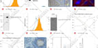 do web scraping, data mining for leads, and market research