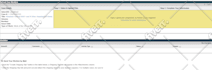 file a US copyright registration or provide copyright opinion