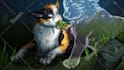 draw your warrior cat oc
