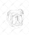 draw 12 hours pet portrait aesthetic one line art continues