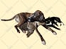 draw your pet into vector art cartoon