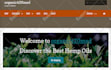 update your website with content and image