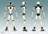 create character designs and turnaround sheets
