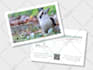 creatively design any kind of brochures