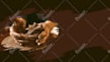 design website hero banner or shopify banner