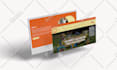 do website development, business website, and wordpress website development