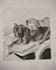 draw realistic  handmade sketch