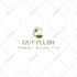 design anything in canva