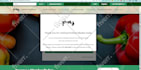 do data entry typing work job, copy paste, excel data entry and pdf to excel
