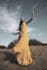 do an attunement for earth angels