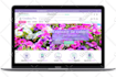 design and develop a shopify store for you