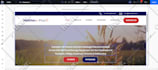 design and redesign wix website