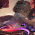 minecraft profil pictures wallpaper