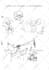 draw hand drawn chibi, editorial illustrations, minimal doodles and outline art