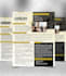 design professional and winning capability statement