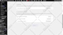 fix wordpress issues, errors, bugs or elementor problem fast