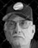 create a professional low poly portrait