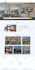 design professional real estate agent website, real auction website