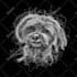 draw your pet into awesome scribble art