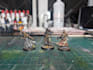 provide custom professional painting for your miniatures