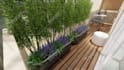 create your front yard, backyard, garden, patio, terrace and landscape design