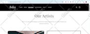 fix wordpress bugs, elementor errors, shopify issues with expert help