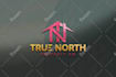 professionally design a modern and creative logo design