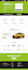design custom responsive business website on wordpress