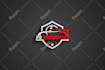 design a professional logo and complete brand identity for your business