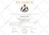 high school diploma, certificate, transcript, duplicate diploma, college, copy