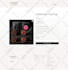 design and develop a high end wordpress business website