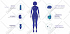 create modern flat vector illustration