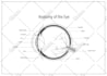 draw medical, anatomy, and healthcare illustrations