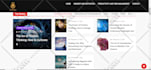 create a modern wordpress website design or custom website