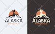 create a professional logo design