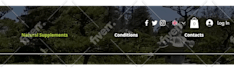 create static website hosting on github or netlify