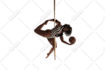 background removal, white, transparent or resizing images
