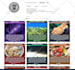 be virtual assistant instagram or instagram marketing manager